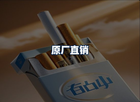 专业团队办公环境